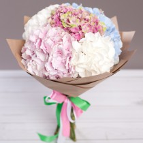 Bouquet of 7 multi-colored hydrangeas